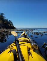 Picture, San Juan Island, Puget Sound, sea kayak, sea kayaking